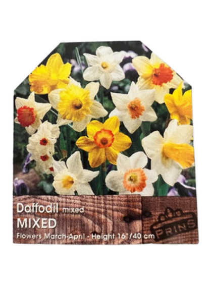 Daffodil Mixed 3kg