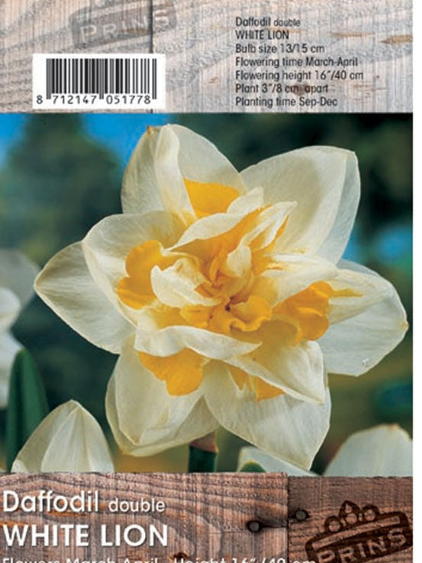 Daffodil White Lion 3kg