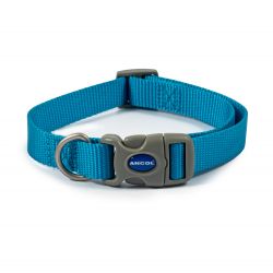 Dog Collars