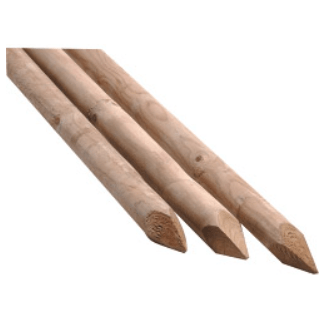 Canes & Stakes