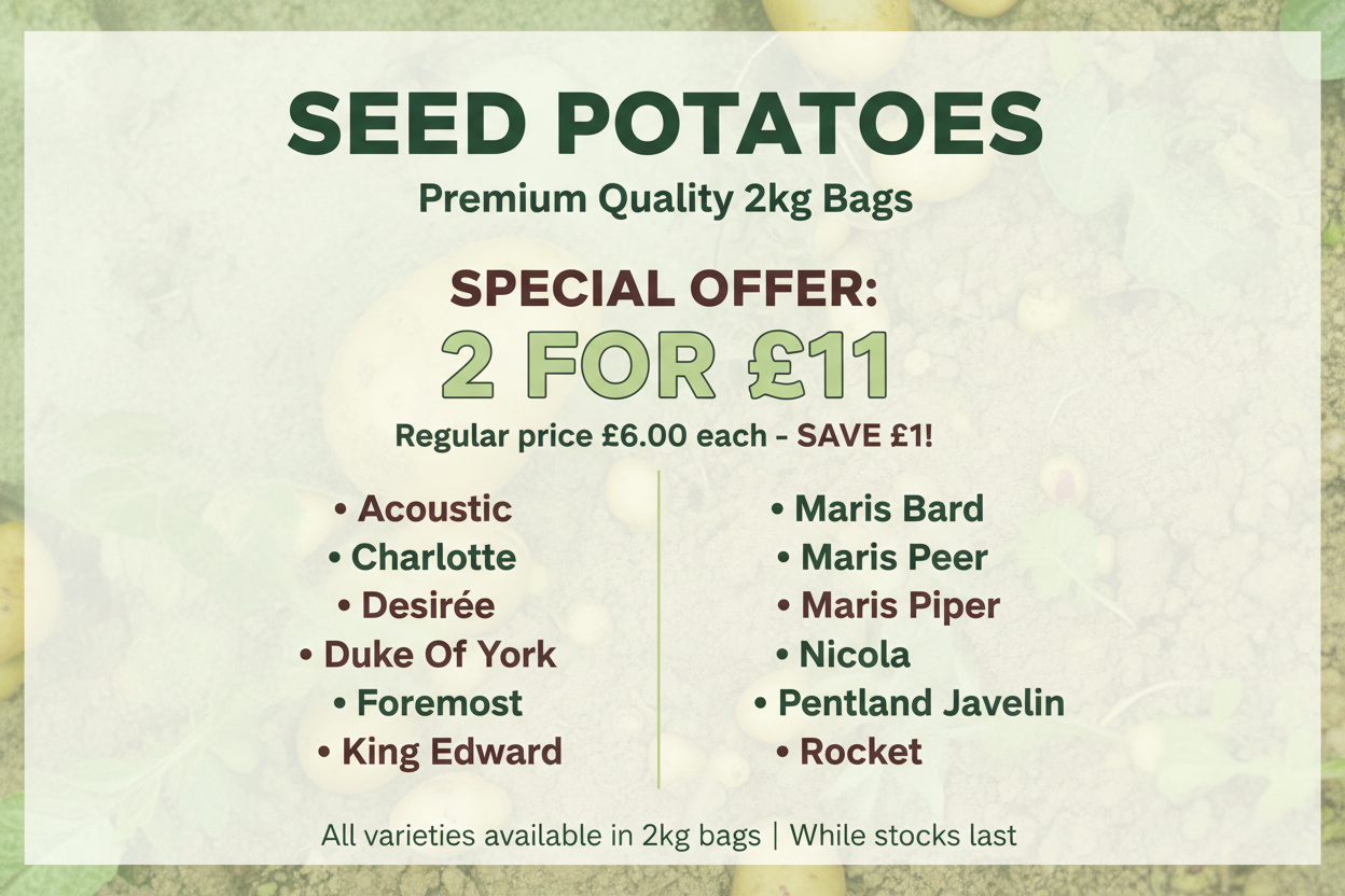 Seed Potatoes