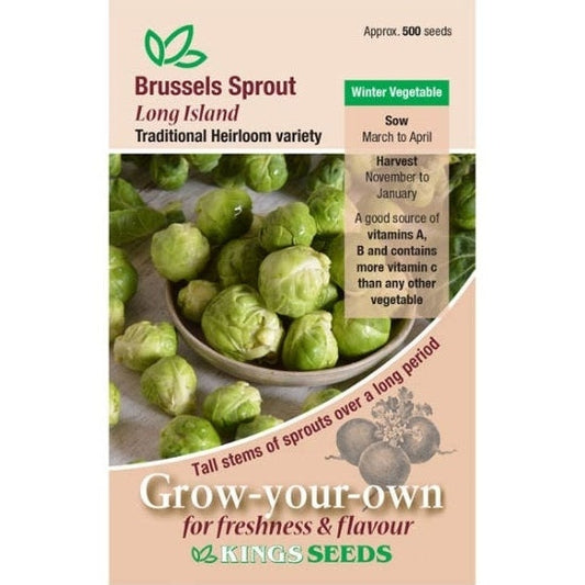 Brussels Sprout Long Island