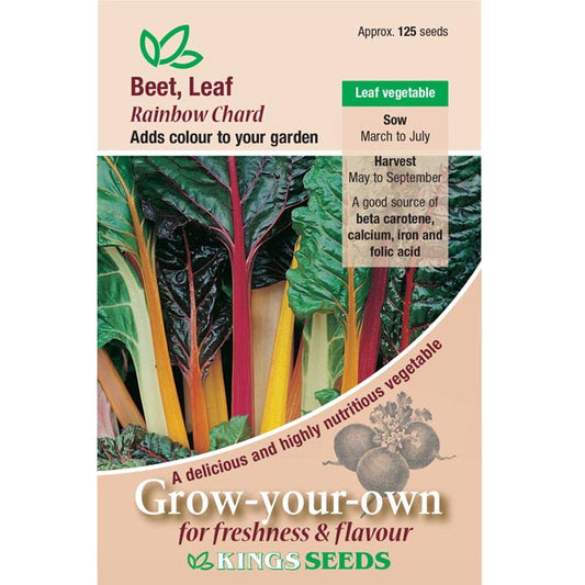 Leaf Beet Rainbow Chard