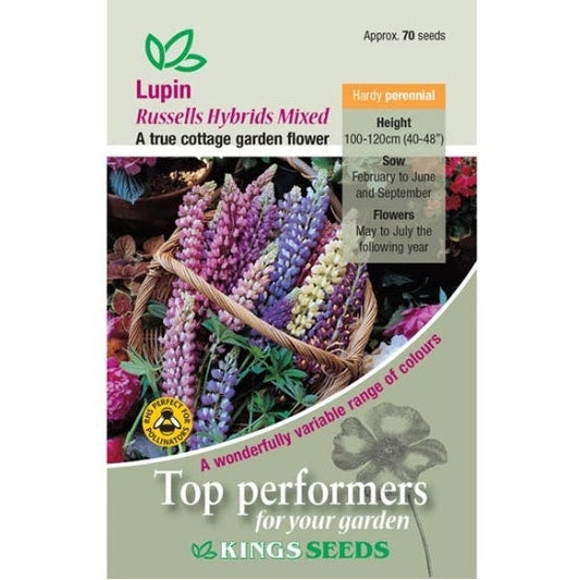 Lupins Russell Hybrids Mix