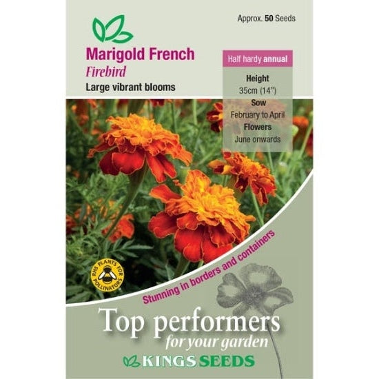 Marigold French Firebird