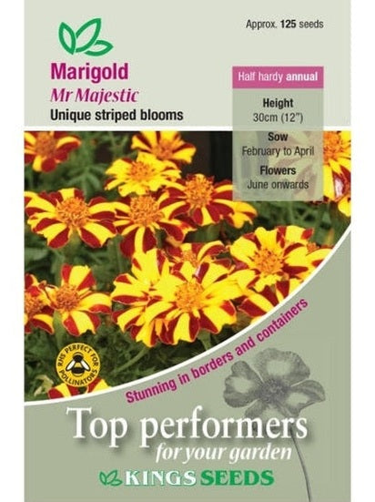 Marigold Mr Majestic