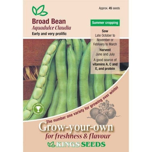 Broad Bean Aquadulce Claudia