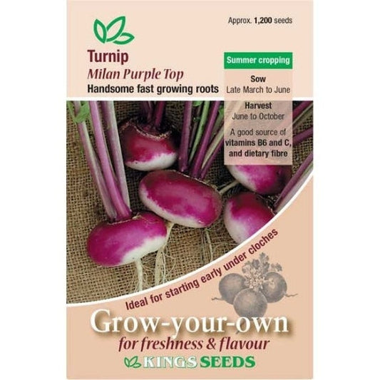 Turnip Milan Purple Top