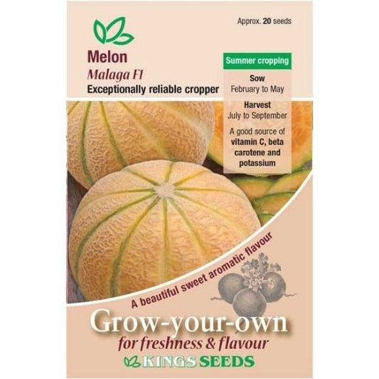 Melon Malaga F1