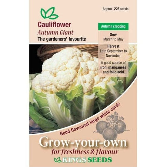 Cauliflower Autumn Giant