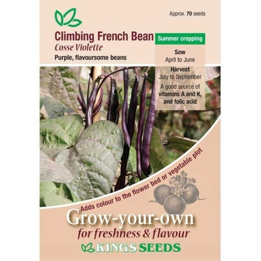 Climbing French Bean Cosse Violette