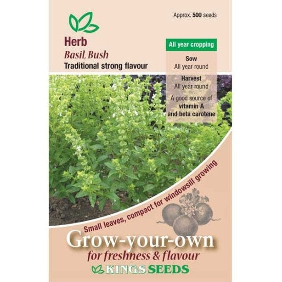 Herb Basil Bush