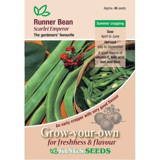 Runner Bean Scarlet Emperor