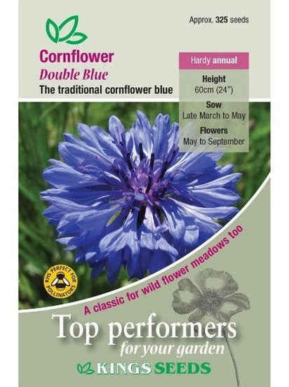 Cornflower Double Blue