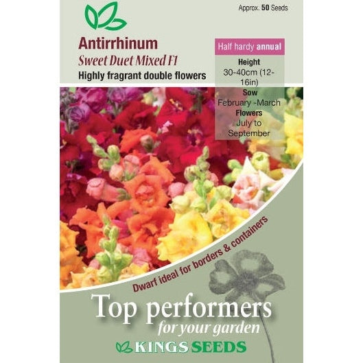 Antirrhinum Sweet Duet Mixed F1