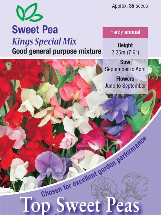 Sweet Pea Kings Special Seeds