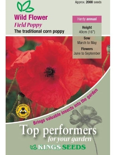 Wild Flower Poppy Field