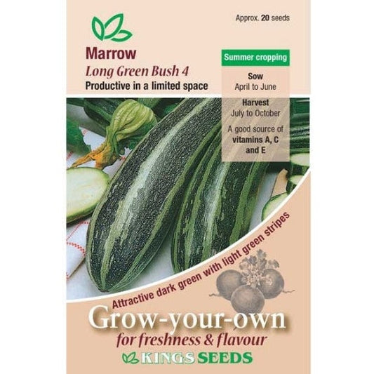 Marrow Long Green Bush 4