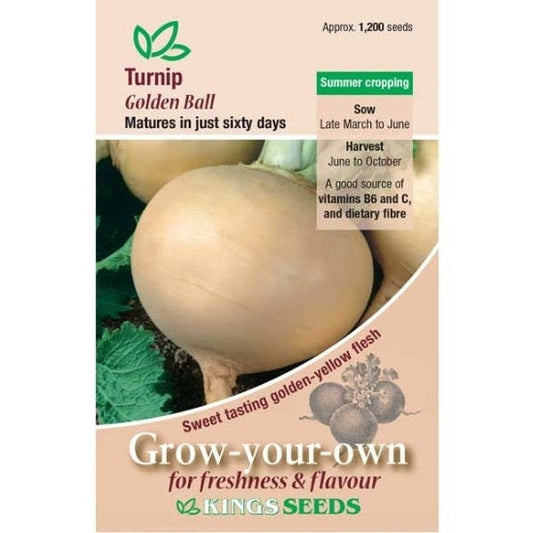 Turnip Golden Ball