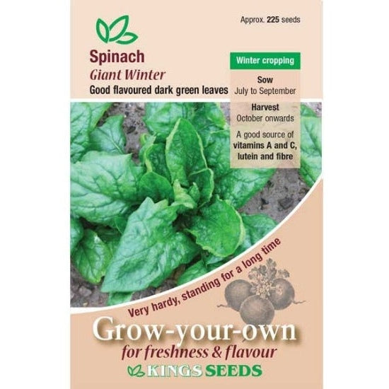 Spinach Giant Winter