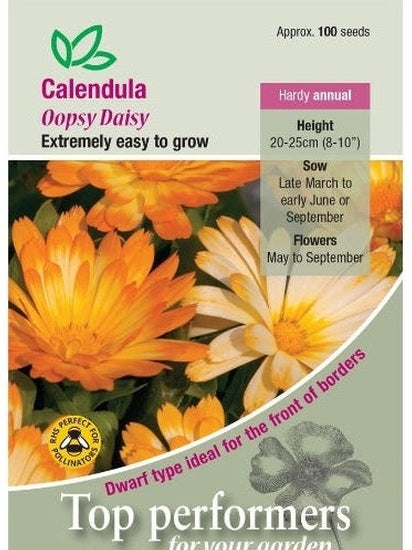 Calendula Oopsy Daisy