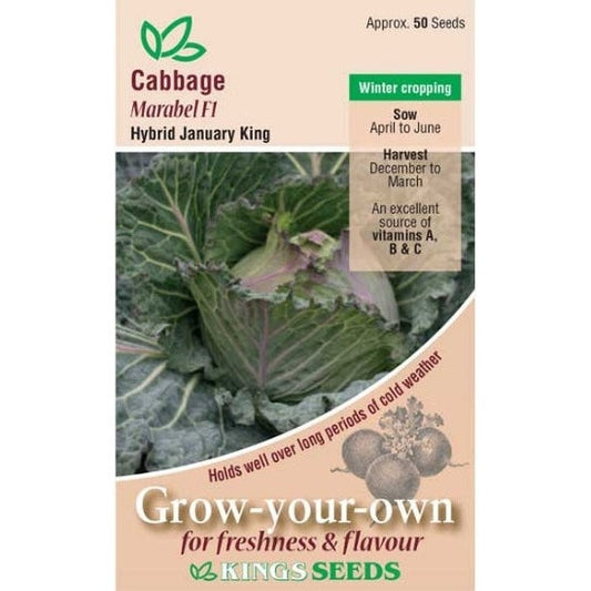 Cabbage January King Marabel F1