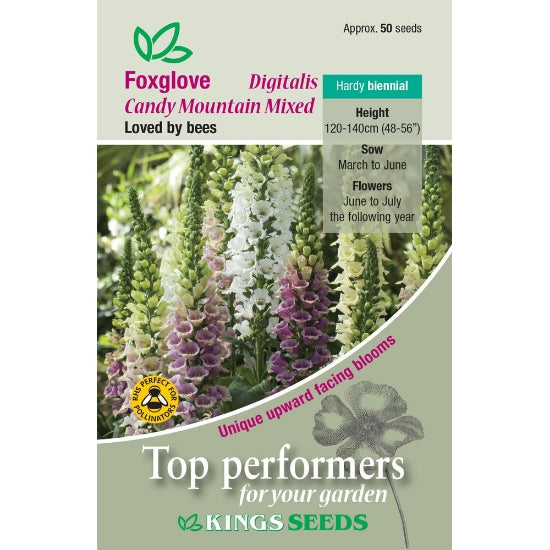 Foxglove Candy Mountain Mixed