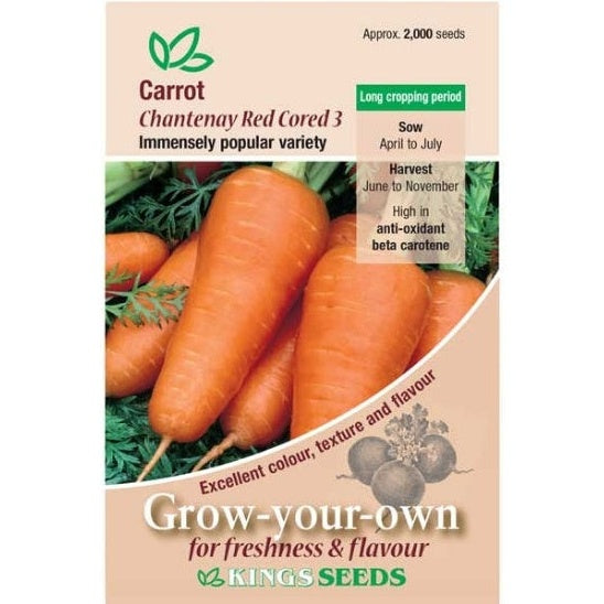 Carrot Chantenay Red Cored 3