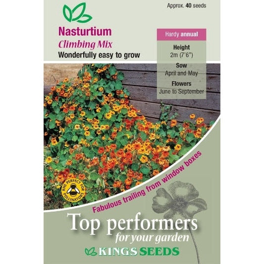 Nasturtium Climbing Mix