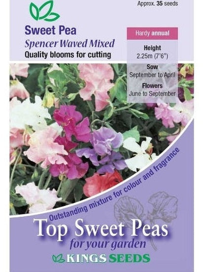 Sweet Pea Spencer Waved Mixed
