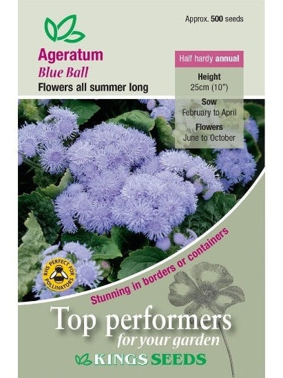 Ageratum Blue Ball