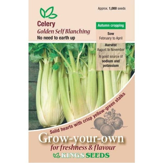 Celery Golden Self Blanching