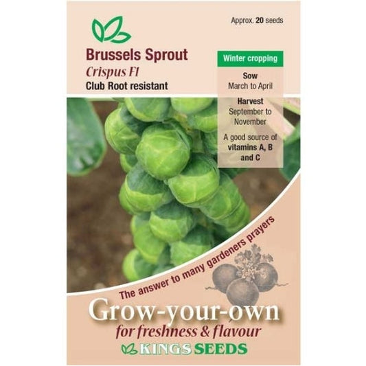 Brussels Sprout Crispus F1