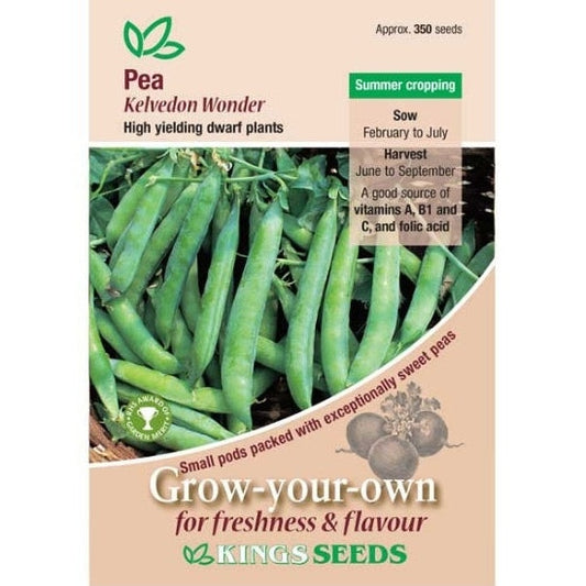 Pea Kelvedon Wonder