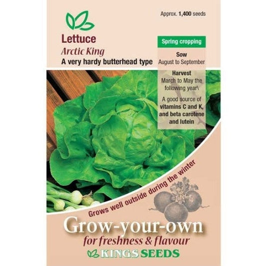 Lettuce Arctic King