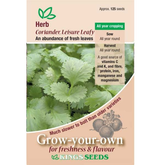 Herb Coriander Leisure Leafy