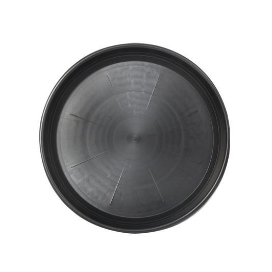 Black Saucer