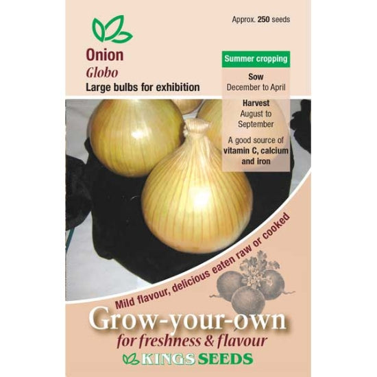 Onion Globo