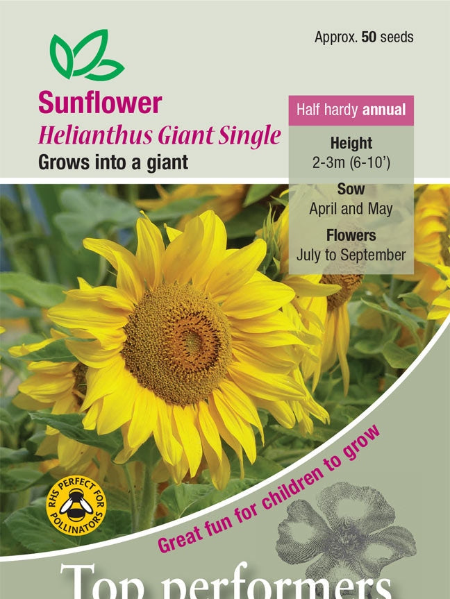 Sunflower Giant Single