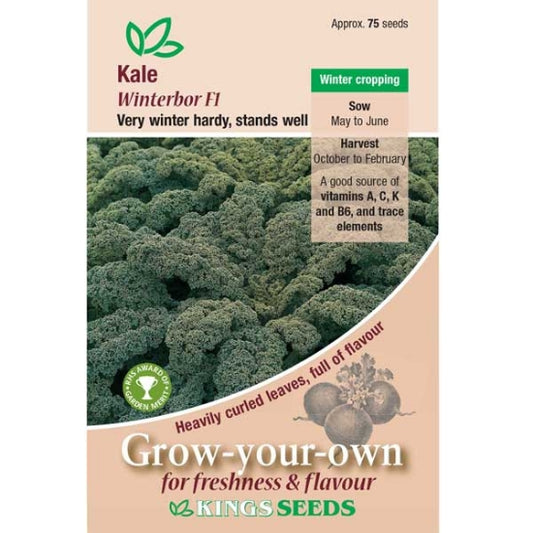 Kale Winterbor F1
