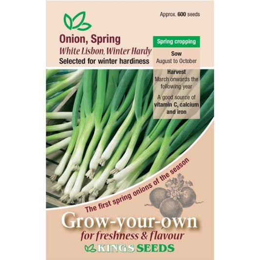 Onion Spring White Lisbon Winter Hardy
