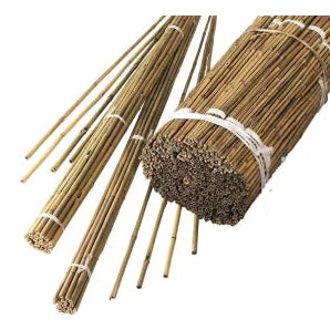 Bamboo Canes