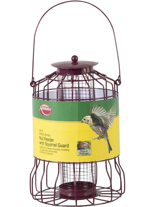 Ambassador Wild Birds Nut Feeder With Squirrel Guard