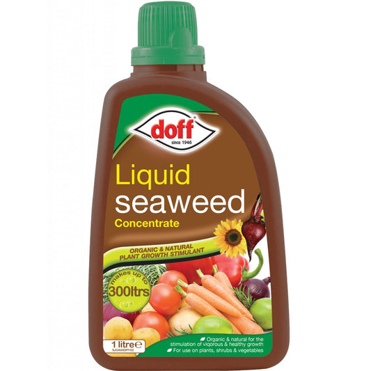 Doff Liquid Seaweed Plant Feed 1L