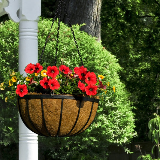 Ambassador Flat Bar Hanging Basket