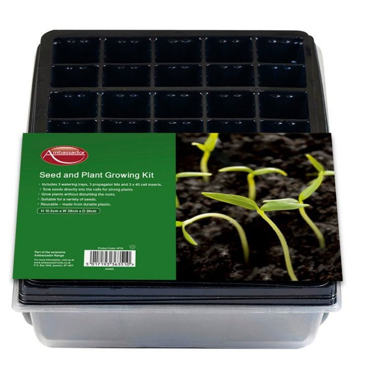 Ambassador Seed & Plant Growing Kit AP35