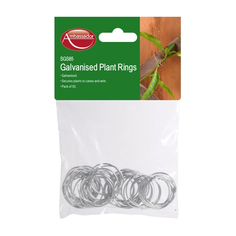 Ambassador Galvanised Plant Rings