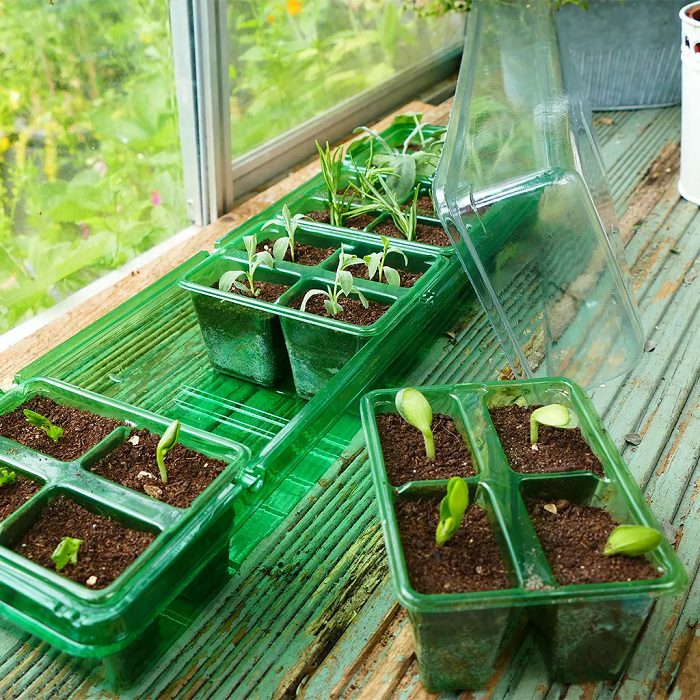  Gro-Sure Visiroot Window Propagator Set