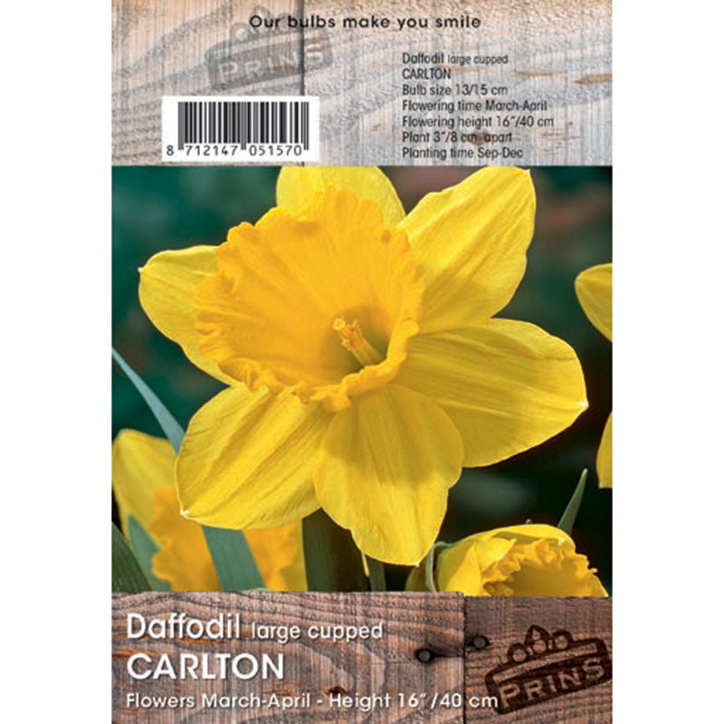 Daffodil Carlton 3kg