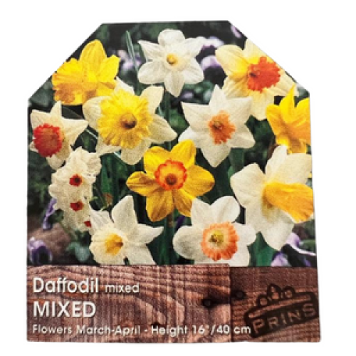 Daffodil Mixed 3kg